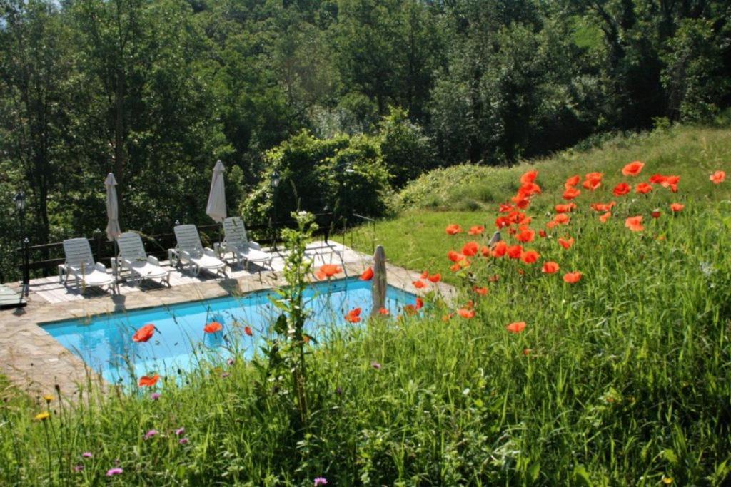 Casa Domenica - Home&More Monastero Bormida Екстериор снимка